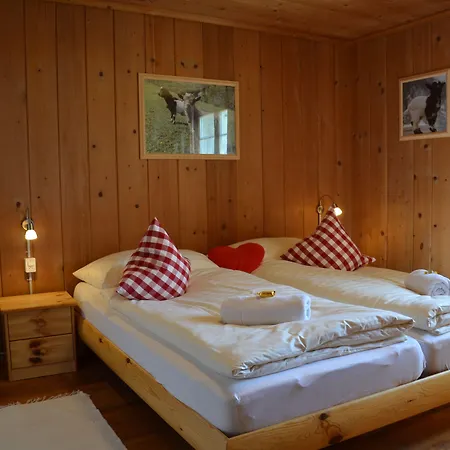 Alpina 여관 Tschappina