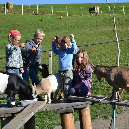 阿尔宾娜宾馆 舍皮纳