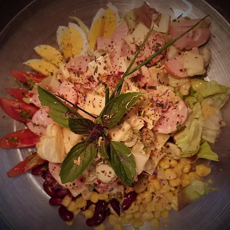 宾馆 阿尔宾娜宾馆 舍皮纳