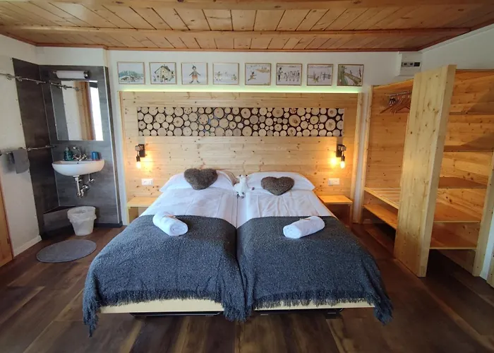 Alpina Mini-hôtel 2*