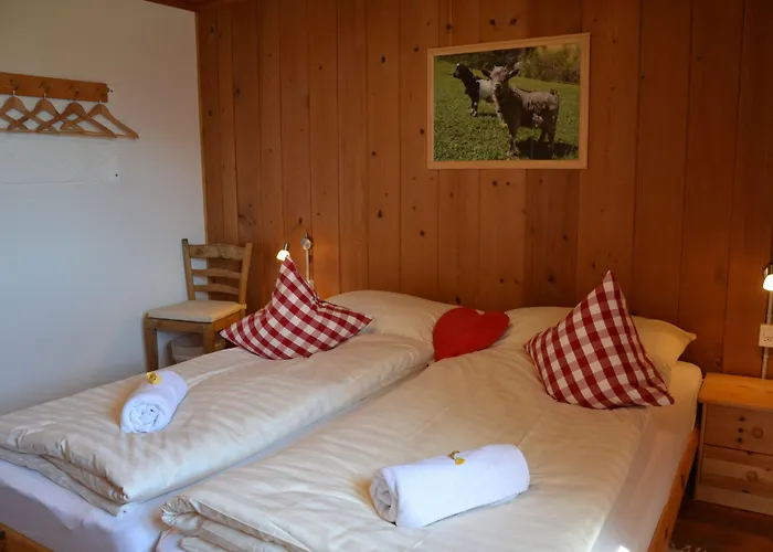 Alpina Mini-hôtel 2*