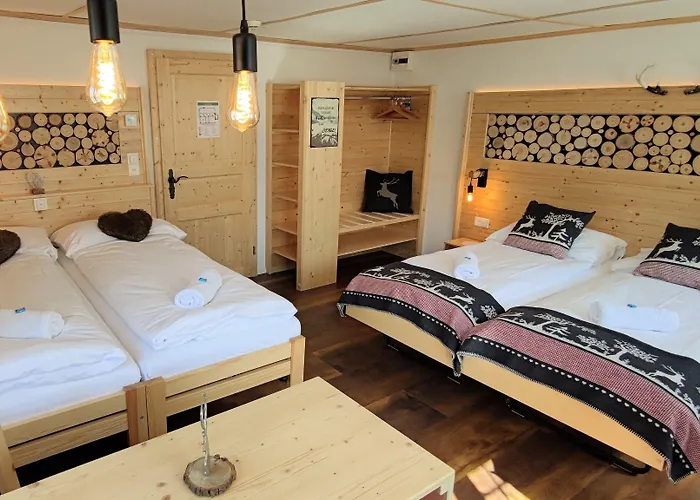 Mini-hôtel Alpina 2*