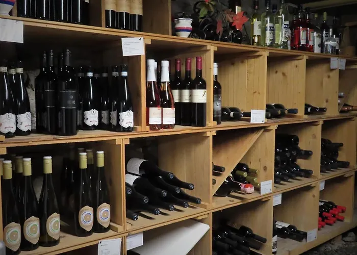 Mini-hôtel Alpina 2*