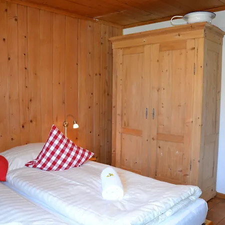 여관 Alpina Tschappina