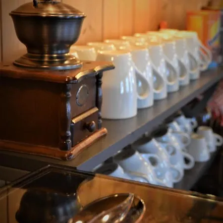 여관 Alpina Tschappina