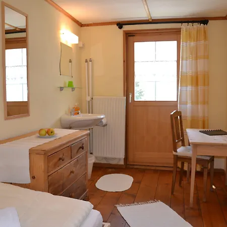 Mini-hôtel Alpina Tschappina