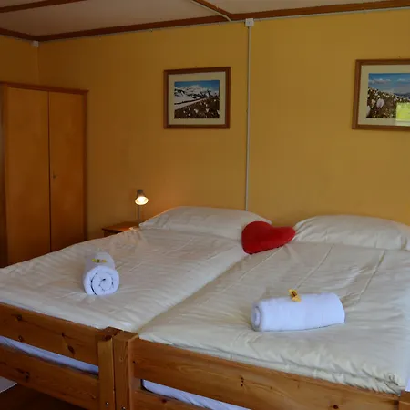 Mini-hôtel Alpina 2*