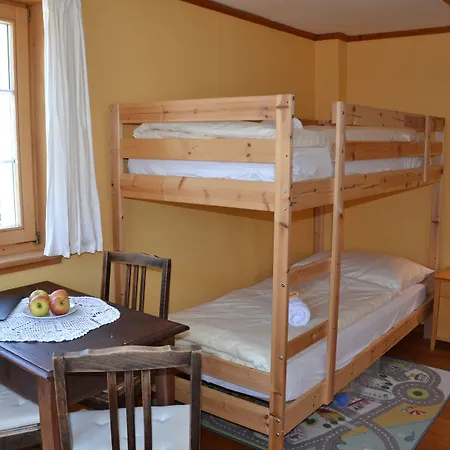 Alpina Mini-hôtel Tschappina