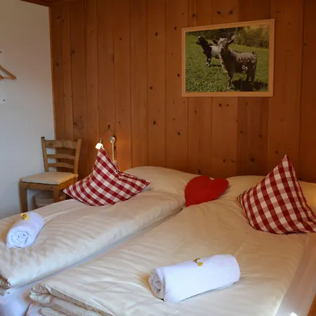 Alpina Mini-hôtel 2*