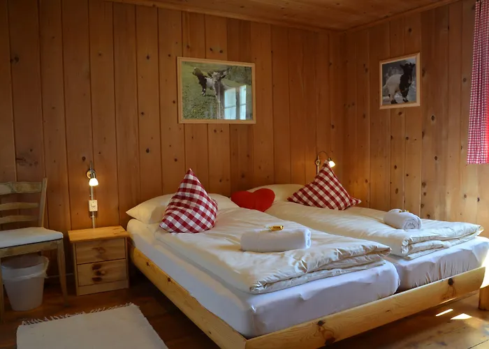 Alpina Gasthof Tschappina